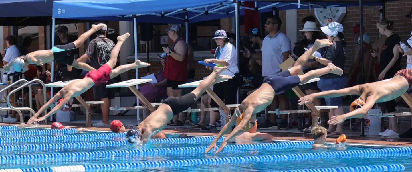 group of swimmers diving off starting block into pool