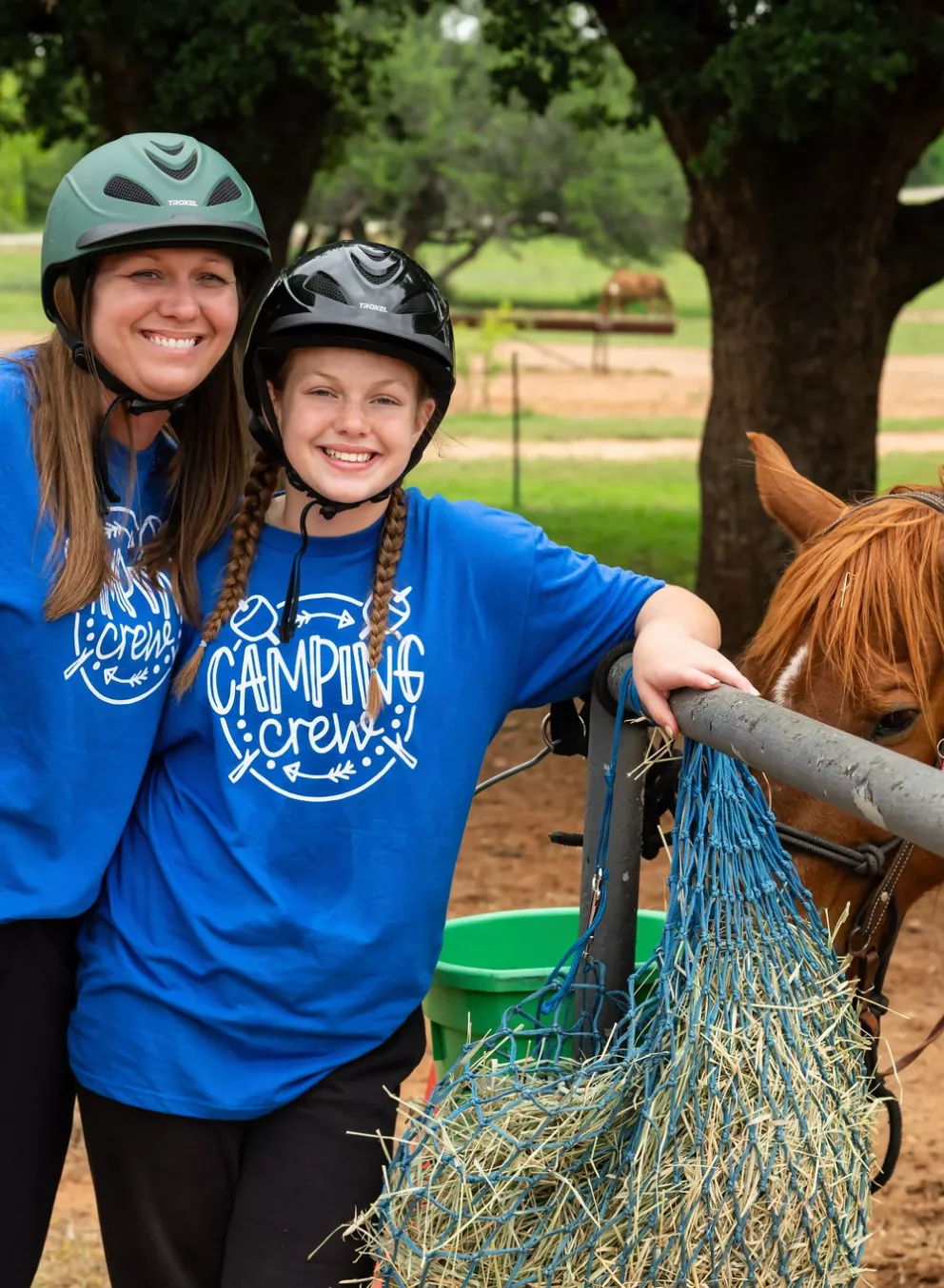 Horses CGS