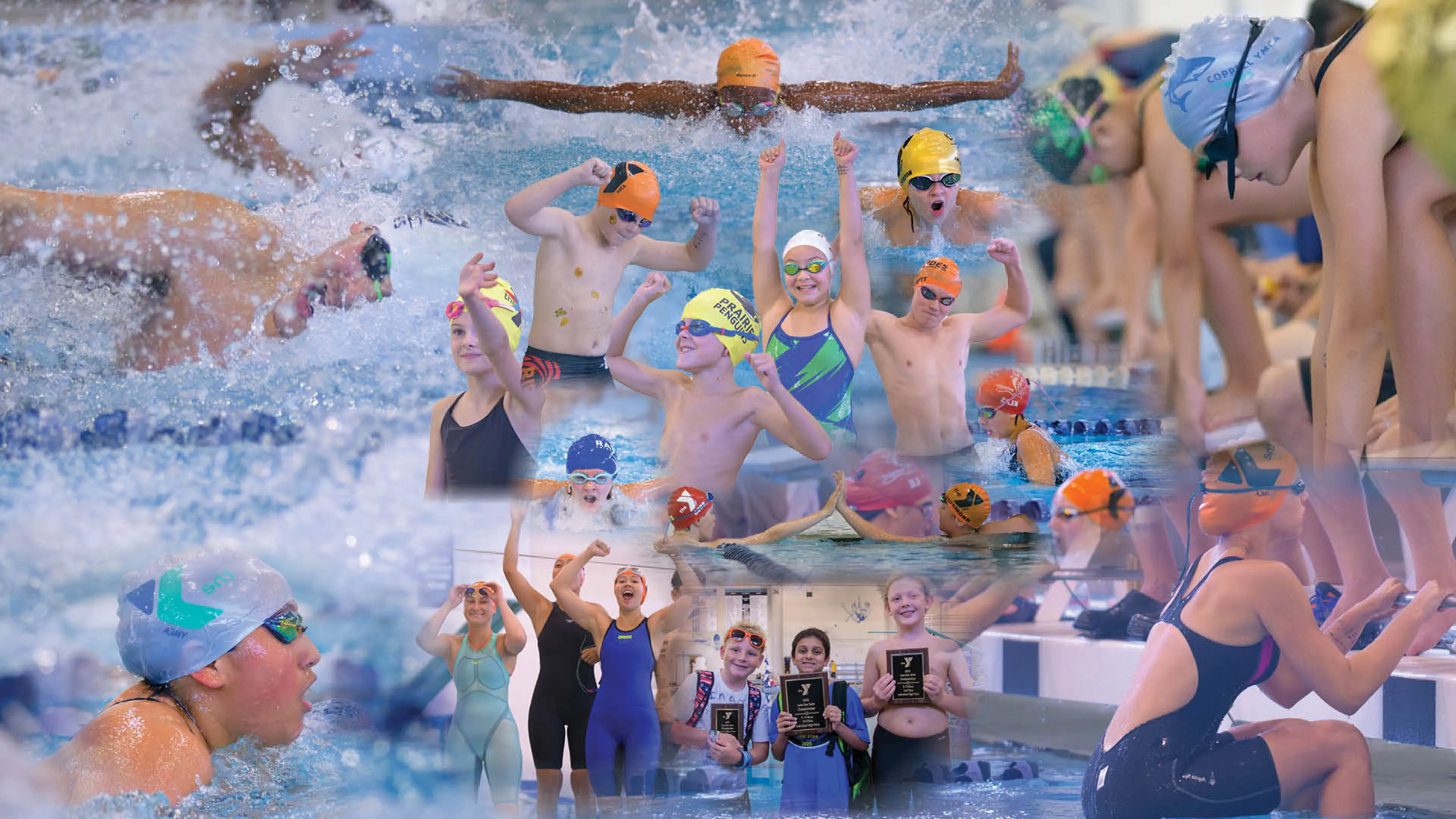 SwimTeam Images